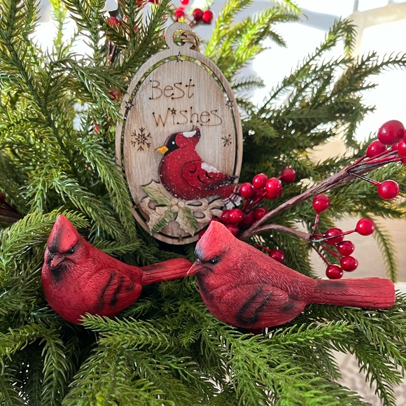 Two Resin Cardinals with Metal Clip and a Wood Holiday Cardinal Ornament - Picture 14 of 14